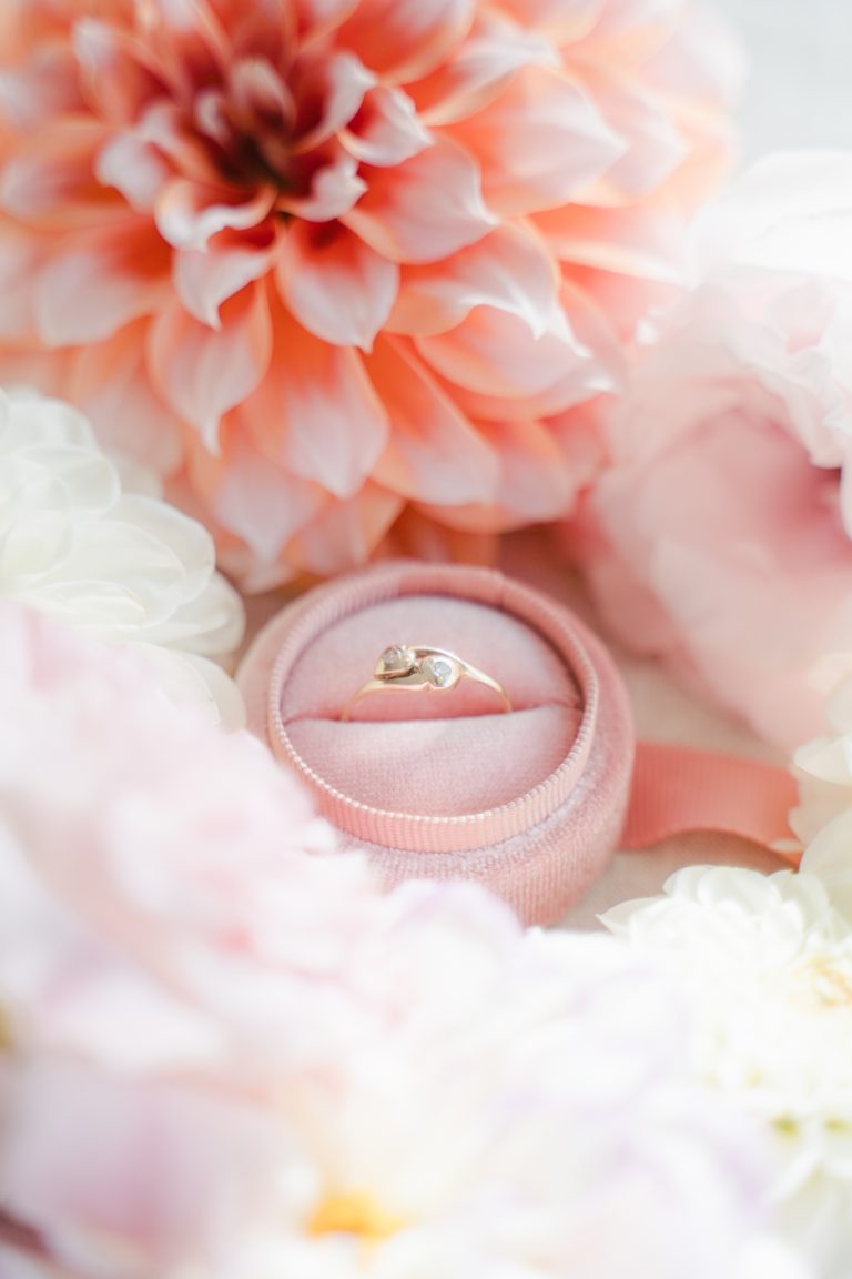 Ashburton Wedding - Rings