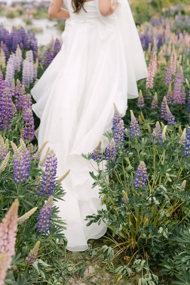 Tekapo Lupin Elopement (1)